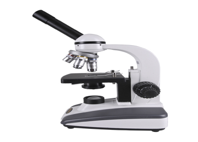 Lab | Ranchi - 834001